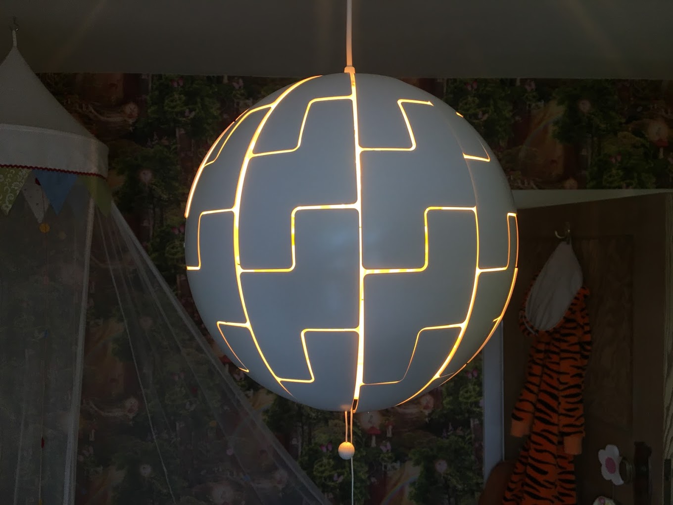 Decorative globe pendant light